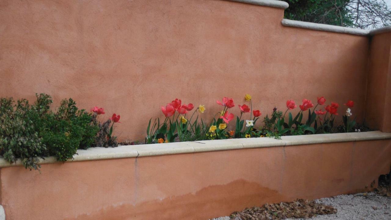 Appartement Le Romarin Малмор Екстериор снимка